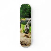 Appaloosa Eating Hay Skate Boards