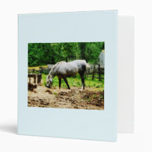 Appaloosa Eating Hay Vinyl Binders
