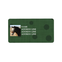 Appaloosa Green Pattern Background - Western Personalized Address Labels