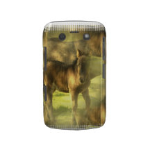 Appaloosa Horse Collage Blackberry Bold Case