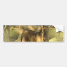 Appaloosa Horse Collage Bumper Stickers