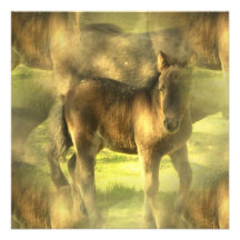Appaloosa Horse Collage Invitation