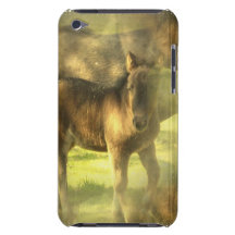 Appaloosa Horse Collage iTouch Case Barely There iPod Cover