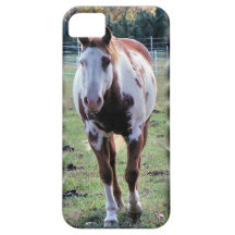 Appaloosa Horse iPhone case + 9 more choices iPhone 5 Cover