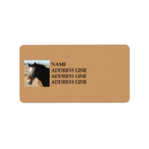 Appaloosa Horse - Western Address Label