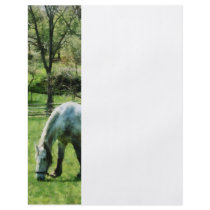 Appaloosa in Pasture Flyers