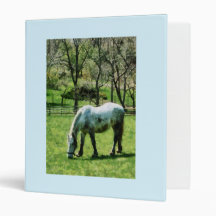 Appaloosa in Pasture Vinyl Binder