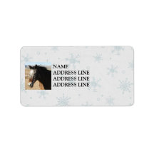 Appaloosa Snow Background - Western Personalized Address Labels