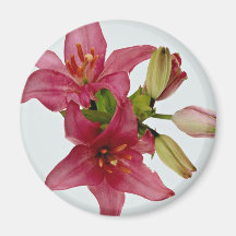 Appealing Pink flowers Fridge Magnets