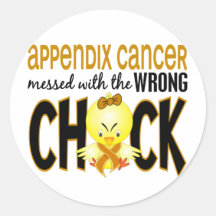 Appendix Cancer Messed With The Wrong Chick Round Stickers
