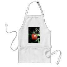 Apple Aprons