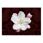 Apple Blossom ~ ATC Business Card Template