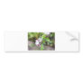 apple blossom bumper stickers