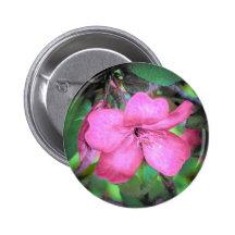 Apple Blossom Buttons