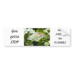 Apple Blossom Clusters Bumper Sticker