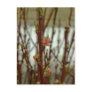 Apple Blossom Postcards