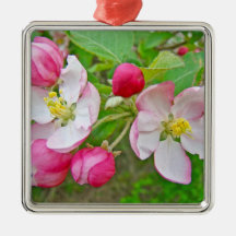 Apple Blossom Time Christmas Ornaments