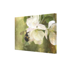 Apple Blossoms and Bumblebee Stretched Canvas Prints