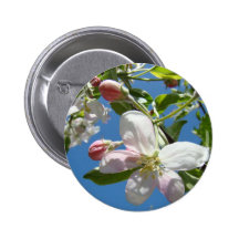 APPLE BLOSSOMS BUTTONS BUTTON Gifts Flowers