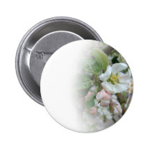 Apple Blossoms Fading Away Pinback Buttons