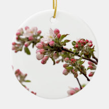 Apple Blossoms in Spring Ornament