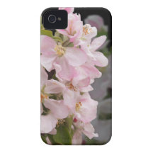 Apple Blossoms iPhone 4 Covers