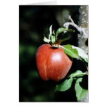 Apple Cartes De Vœux