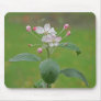 Apple flowers mouse pads