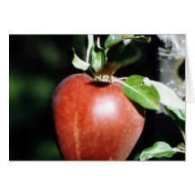 Apple Greeting Card