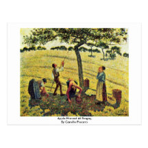 Apple Harvest At Eragny,  By Camille Pissarro Postcard
