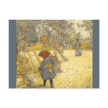 'Apple Harvest' Postcards
