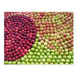 Apple Harvest Swirl Postcards