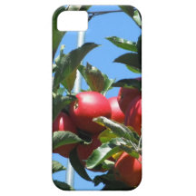 Apple Orchard Series iPhone 5 Cover