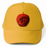 Apple_Pi Mesh Hats