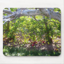 Apple Picking Mousepad