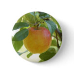 Apple Prima Pins