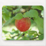 Apple Red Annanas mousepad.