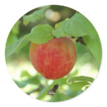 Apple Red Annanas stickers