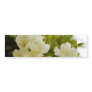 Apple tree blossom bumper sticker