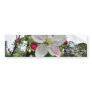 Apple Tree In Blossom Bumper Stickers