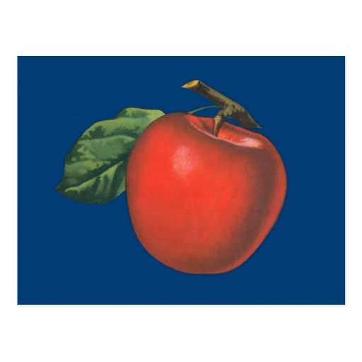 essay on my favourite fruit apple essay on my favourite fruit apple