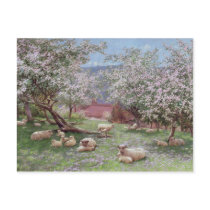 Appleblossom Post Card