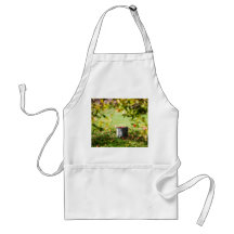 Apples apron