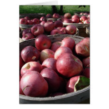 apples cards