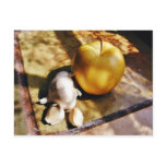 Apples Garlic Cloves Still Life Postcards