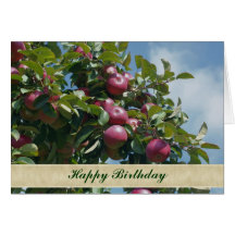 Apples On Tree Nature Photography Birthday Card