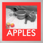 apples Poster