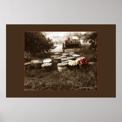 Apples Print by bhbphotos