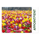 Appointment Business Cards Nature Professional