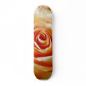 Apricot Colored Rose Closeup skateboards